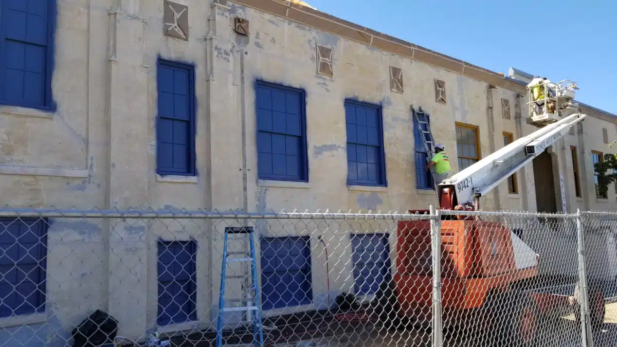 Emergence - Thumbnail 6