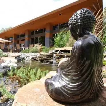 Enlightened Solutions Detox LLC - Thumbnail 7