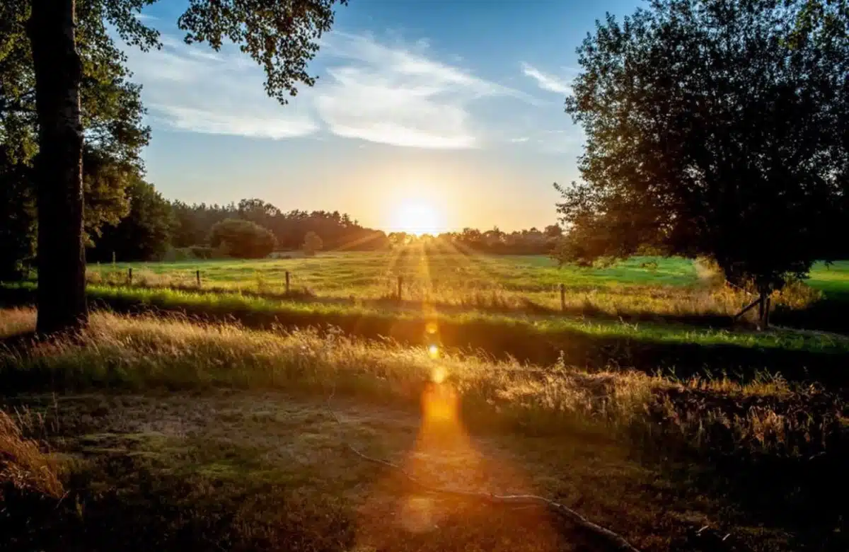 Ethan Health - Thumbnail 7