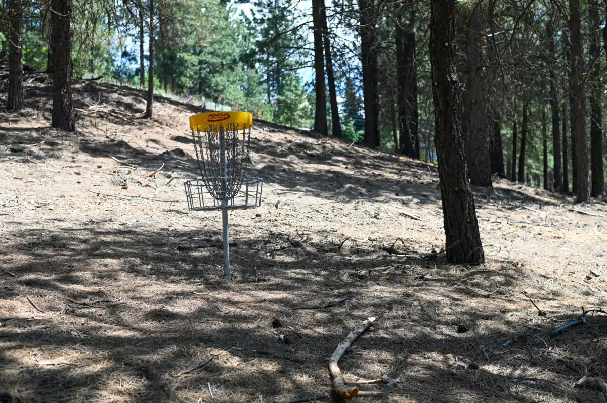 Excelsior Wellness Center - Thumbnail 2