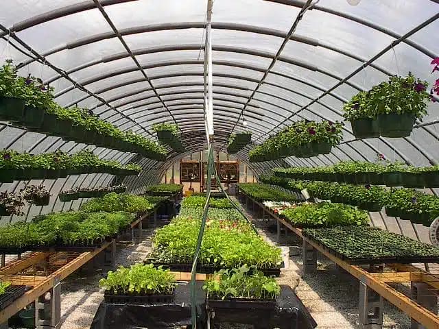 Faith Home Inc - Thumbnail 5