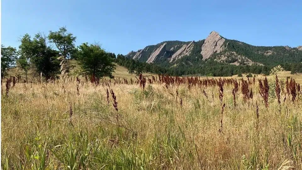Flatirons Recovery - Thumbnail 4