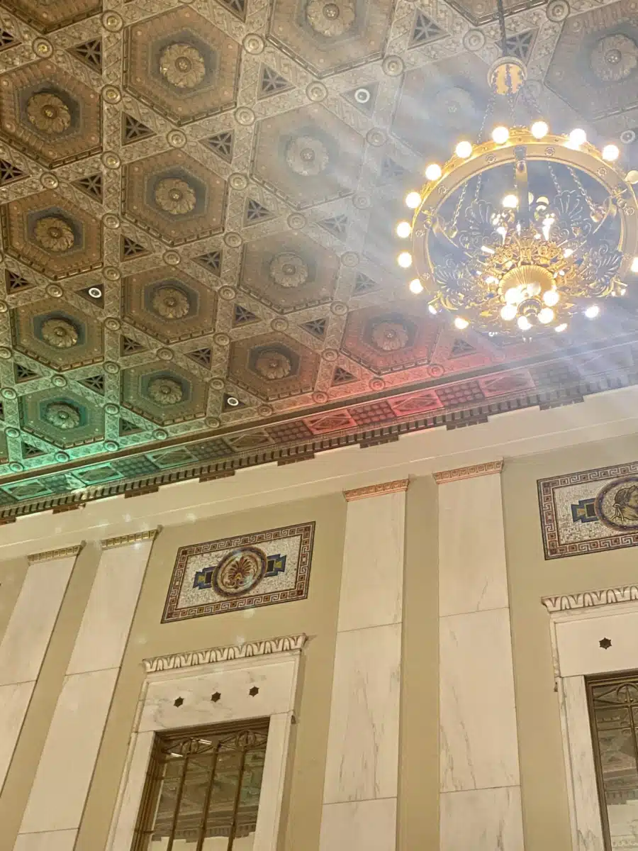 Flying HIGH Inc - Thumbnail 8