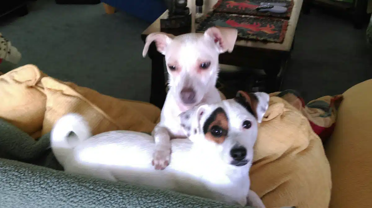 Four Square Clinicals - Thumbnail 4