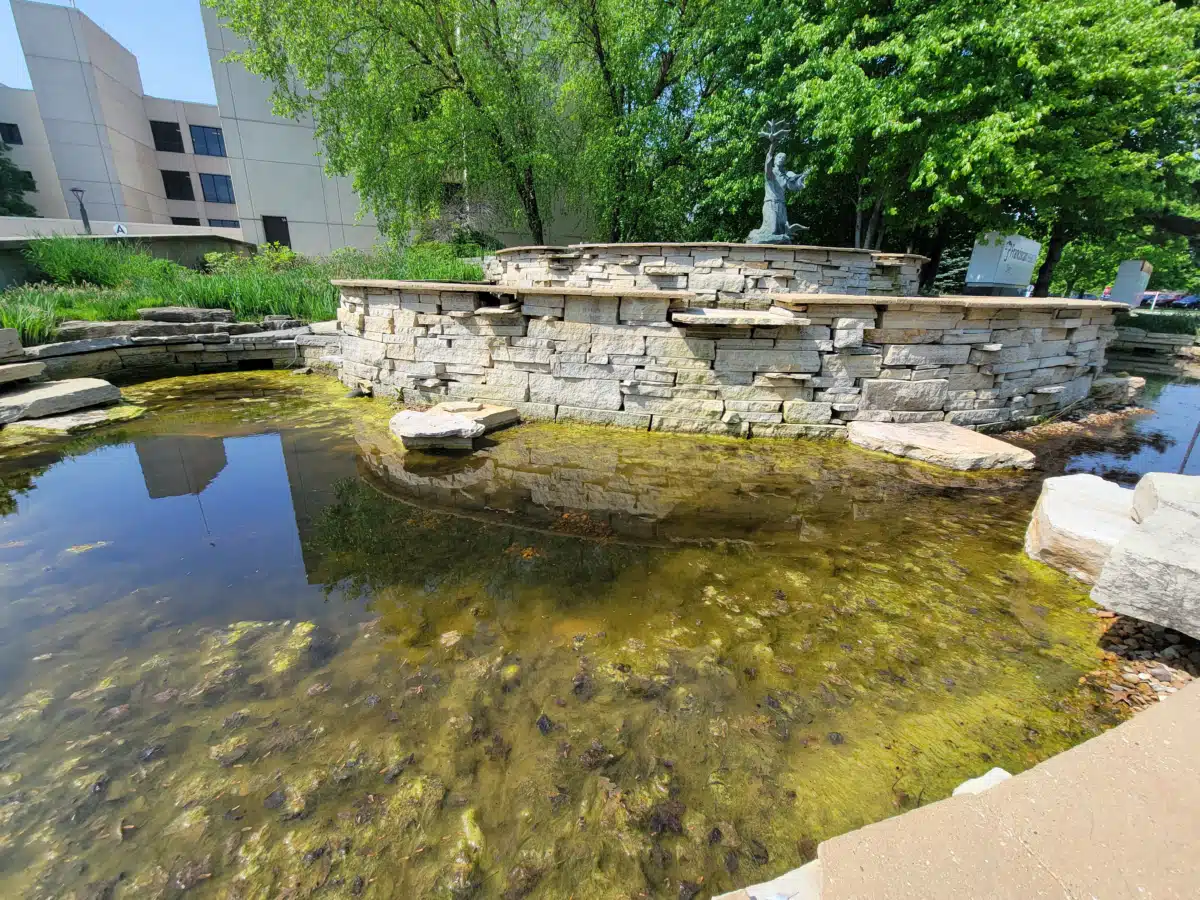 Franciscan Alliance Inc - Thumbnail 6