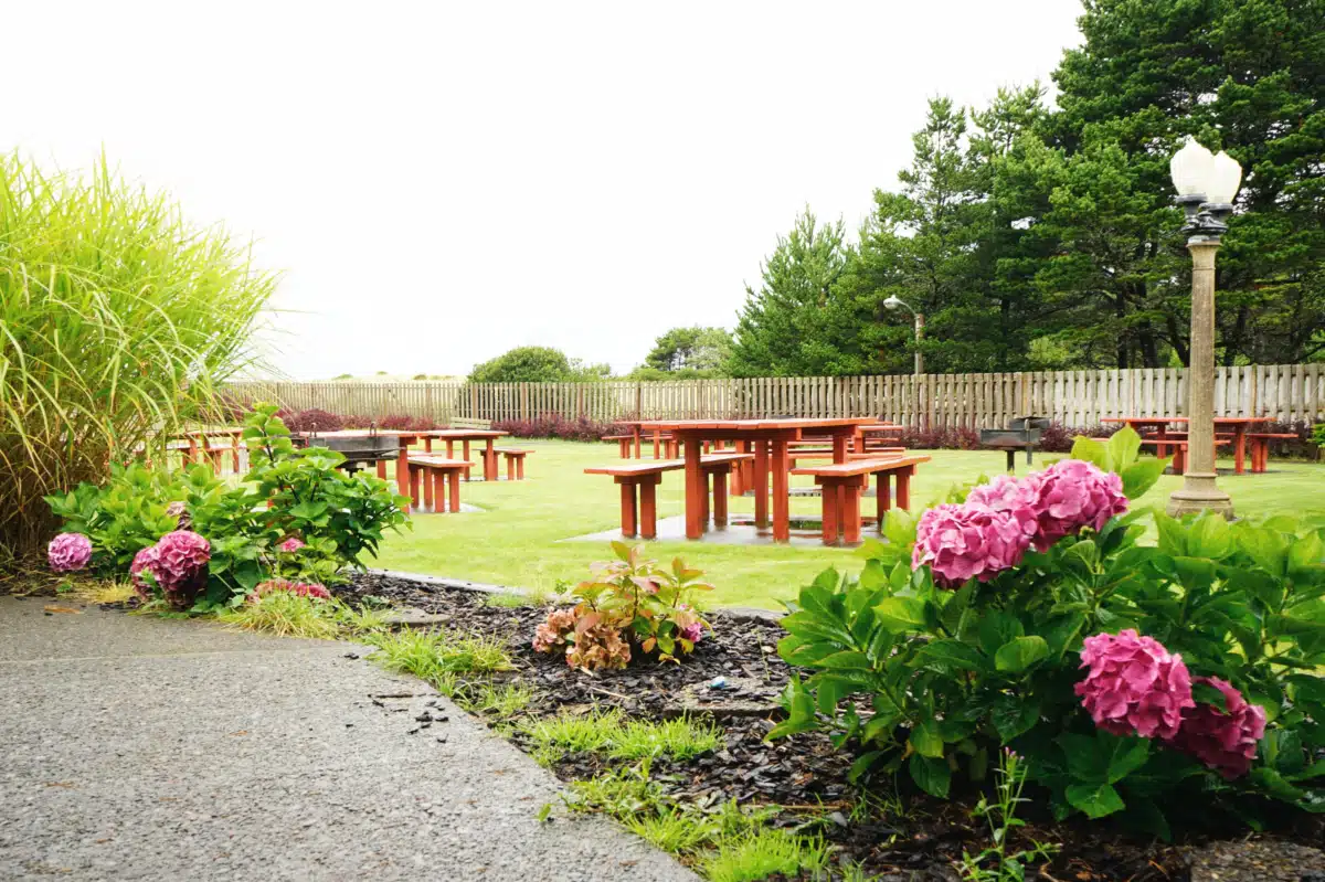 Free by the Sea - Thumbnail 5