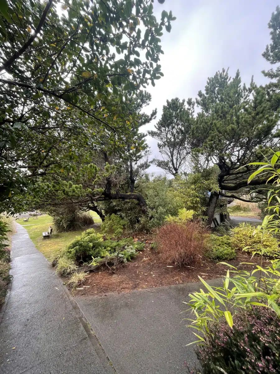 Free by the Sea - Thumbnail 6