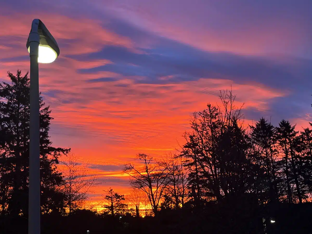 Free by the Sea - Thumbnail 8