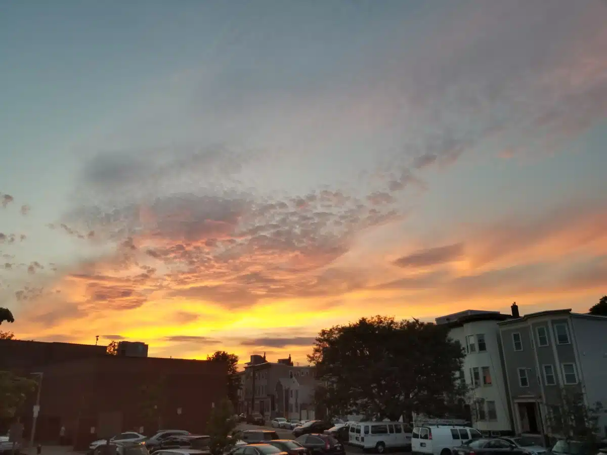 Gavin Foundation - Thumbnail 7