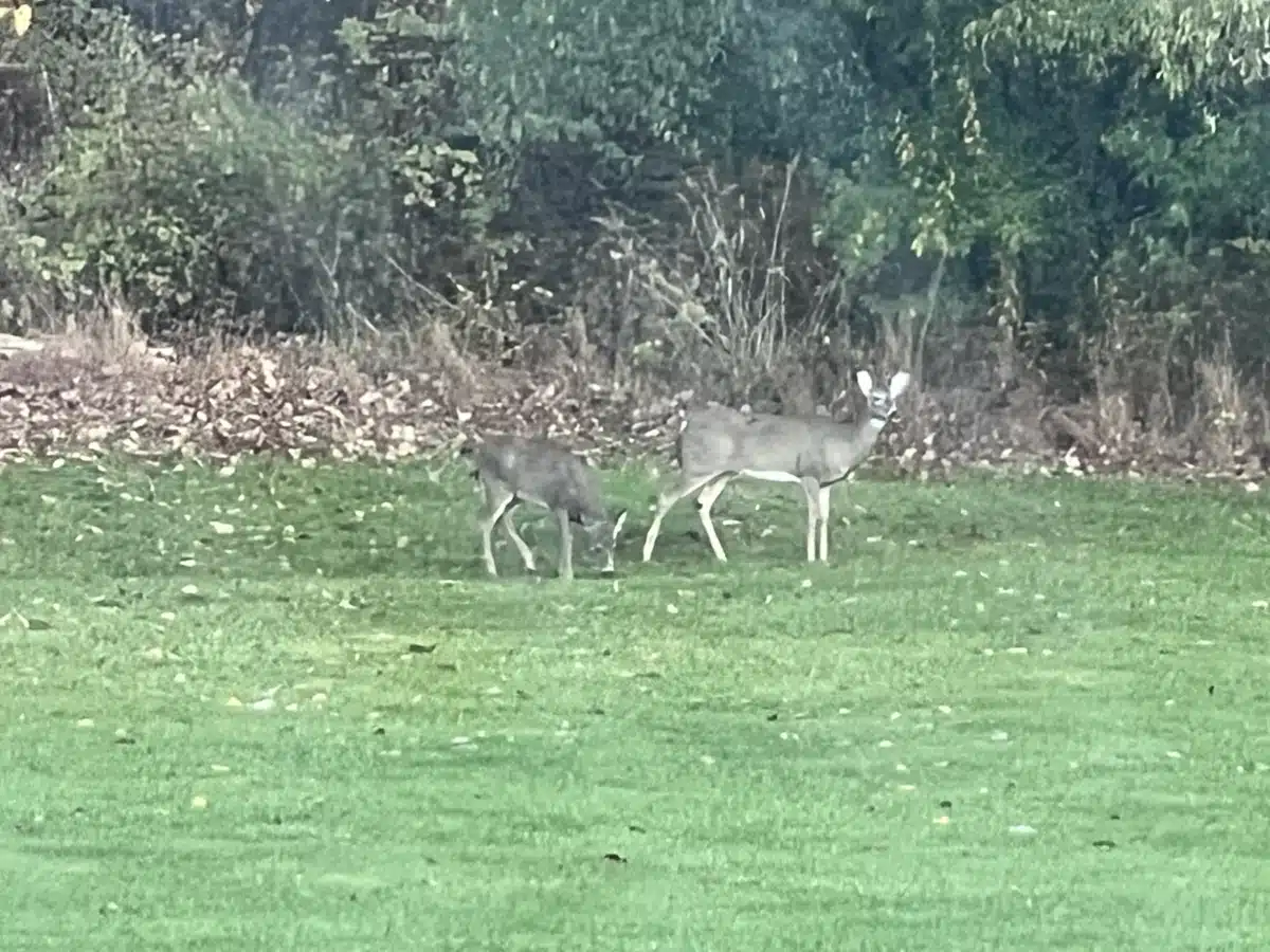 Haley House - Thumbnail 7