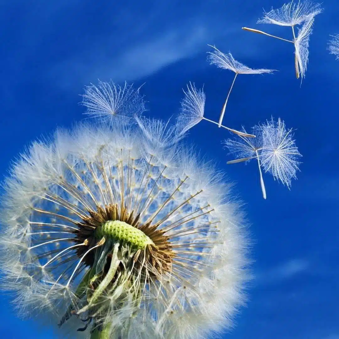 Hands Up Counseling LLC - Thumbnail 9