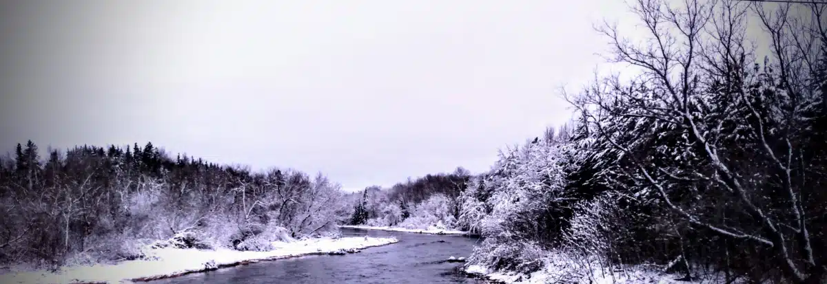 Houlton Band of Maliseet Indians - Thumbnail 5