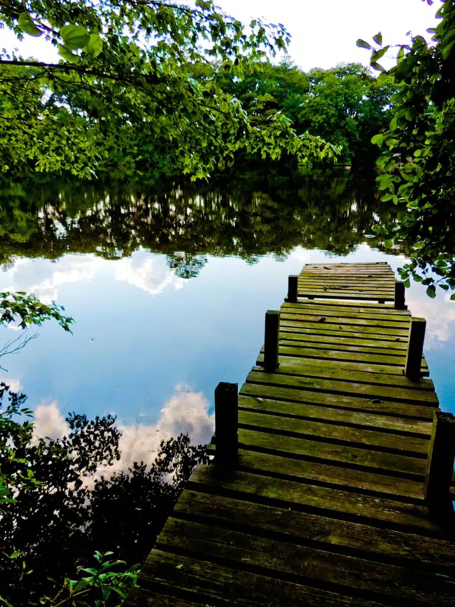 Hudson Behavioral Health - Thumbnail 3