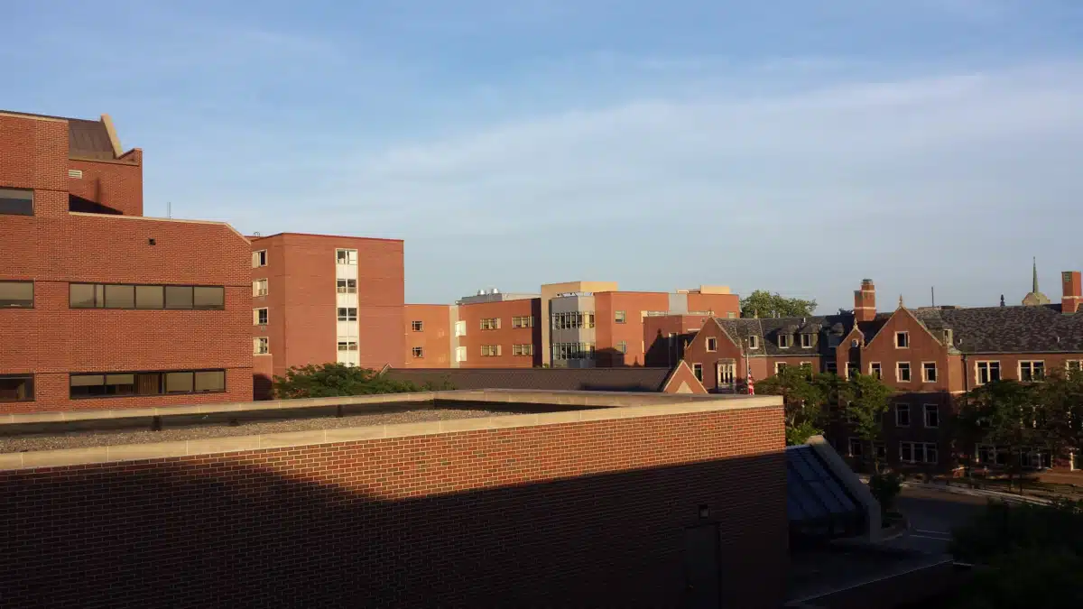 IU Health Ball - Thumbnail 5