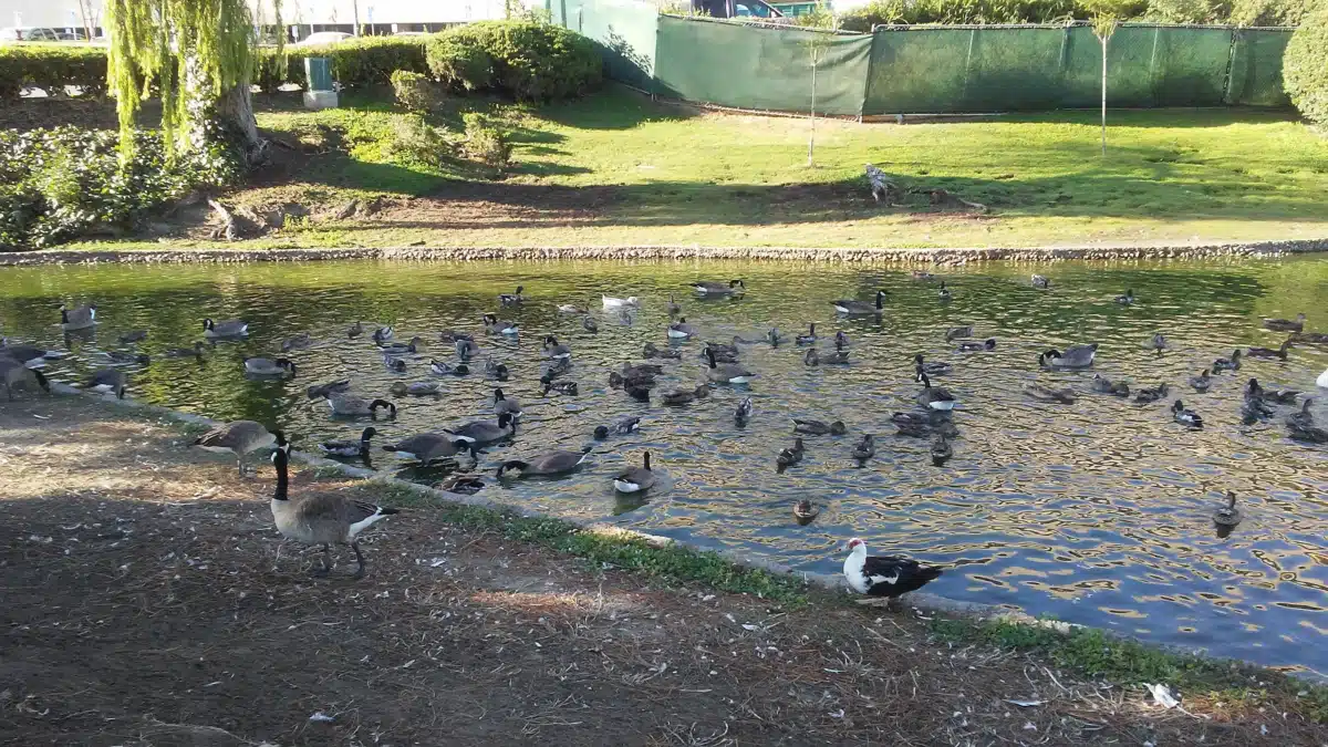 Jerry L Pettis Memorial VA Med Center - Thumbnail 5