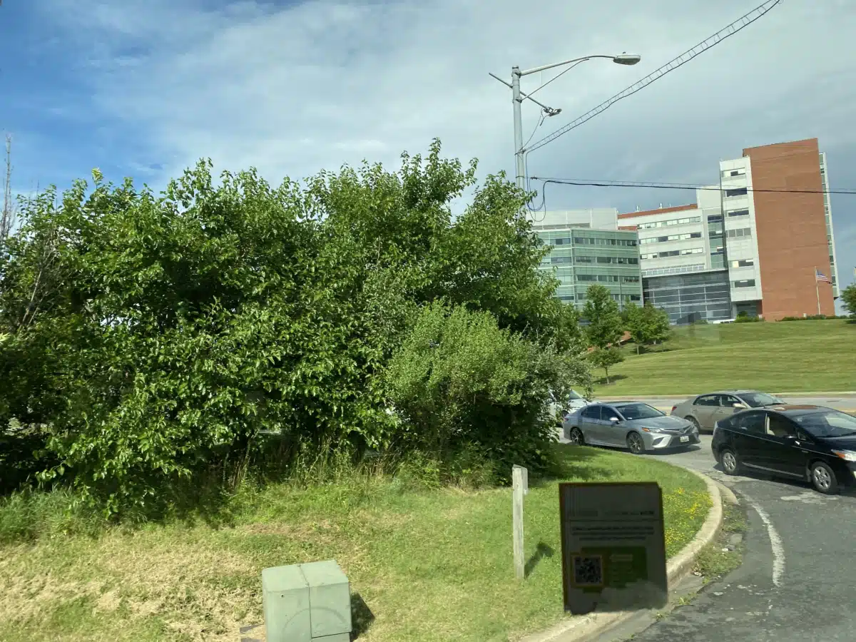 Johns Hopkins Bayview Medical Center - Thumbnail 8