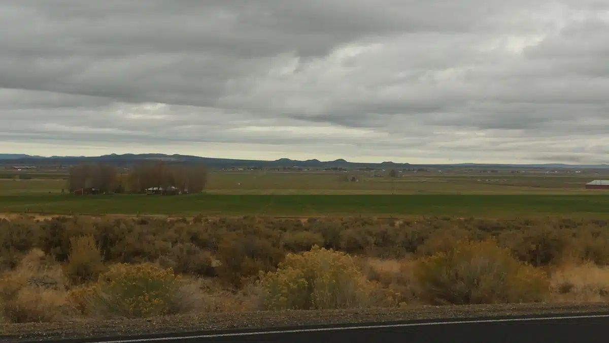 Lake District Christmas Valley - Thumbnail 10