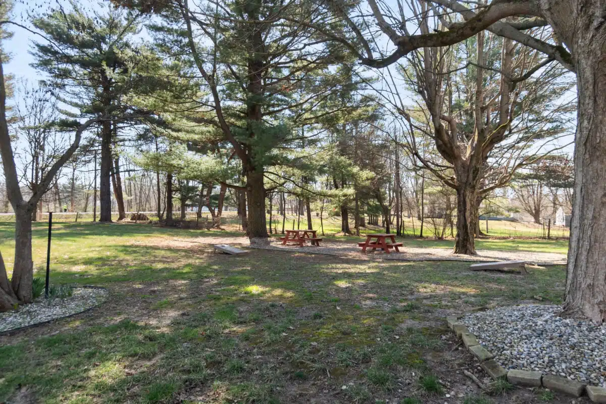 Landmark Recovery - Thumbnail 2