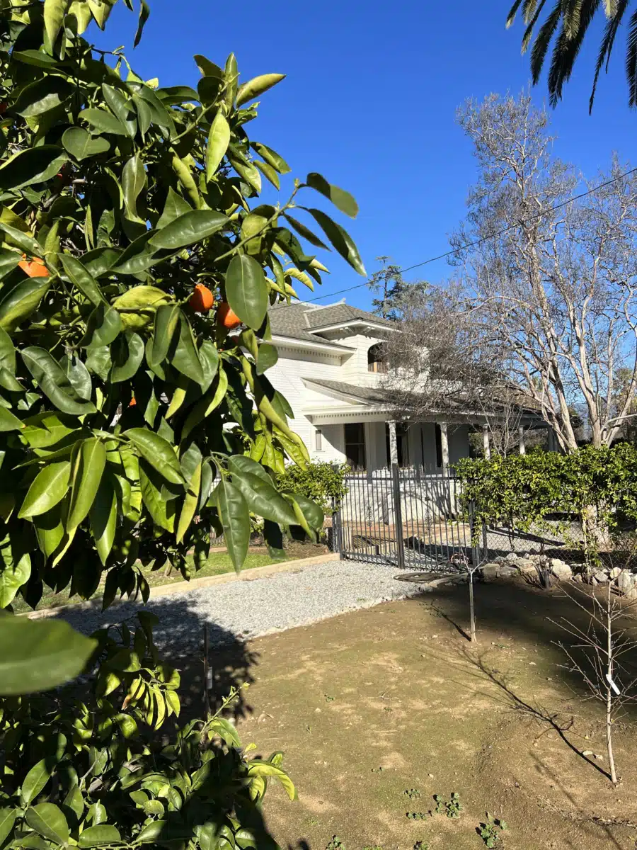 Liberty House Recovery - Thumbnail 9