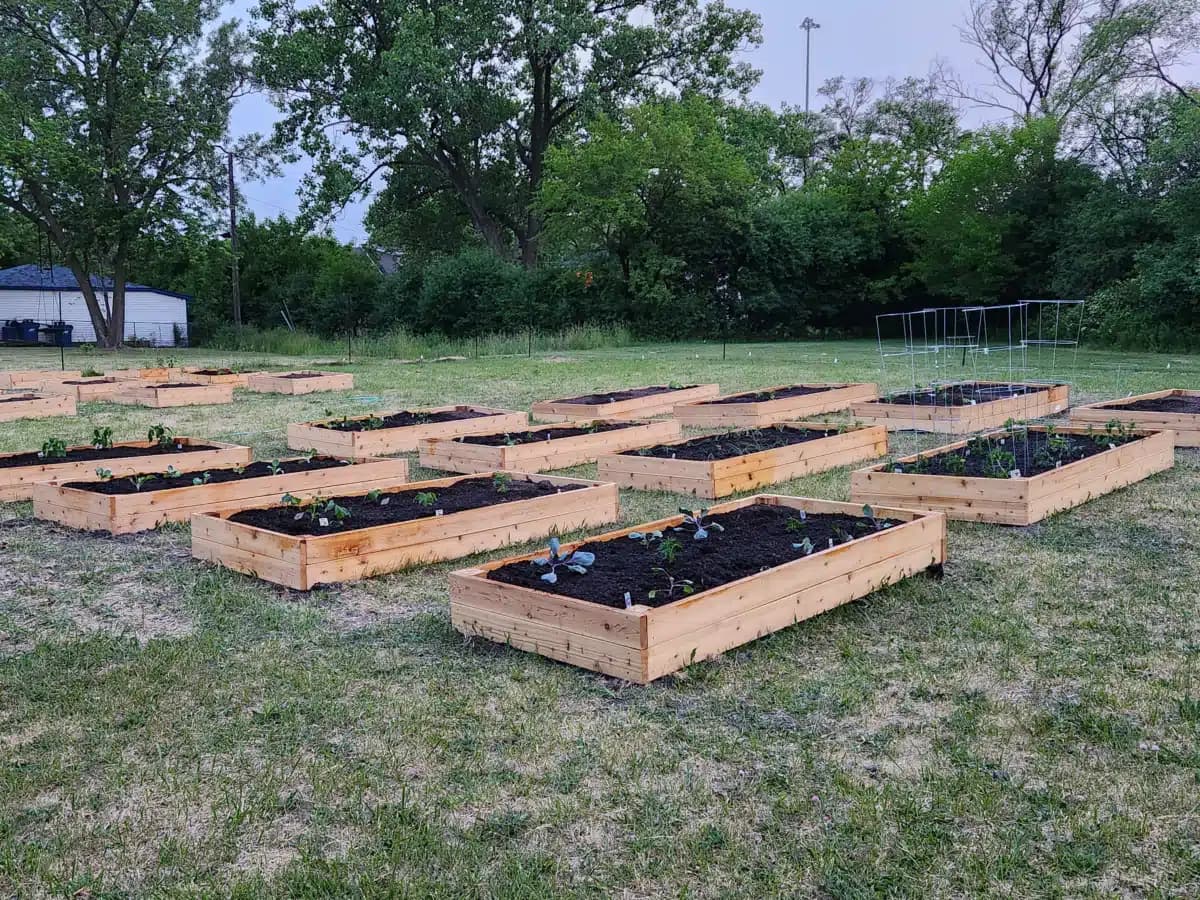 LifeHouse Group - Thumbnail 10