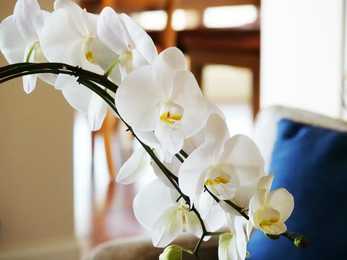 Lifesync Recovery and Detox LLC - Thumbnail 6