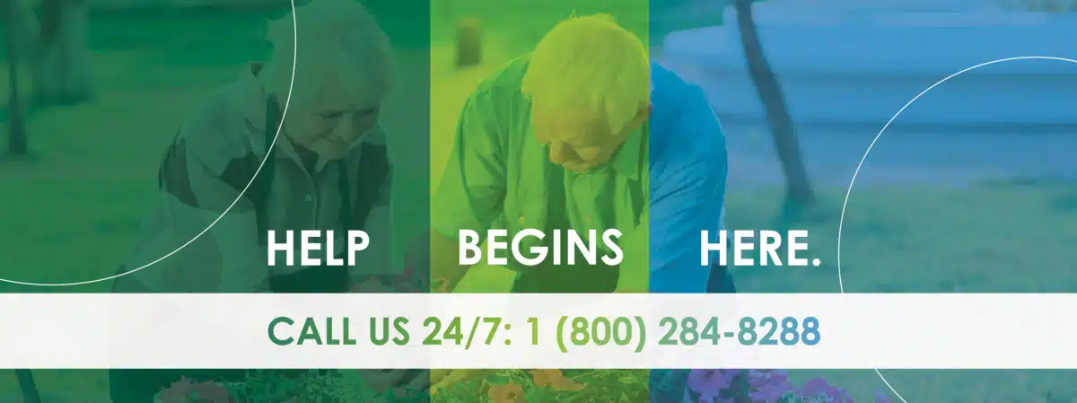 Lifeways - Thumbnail 2