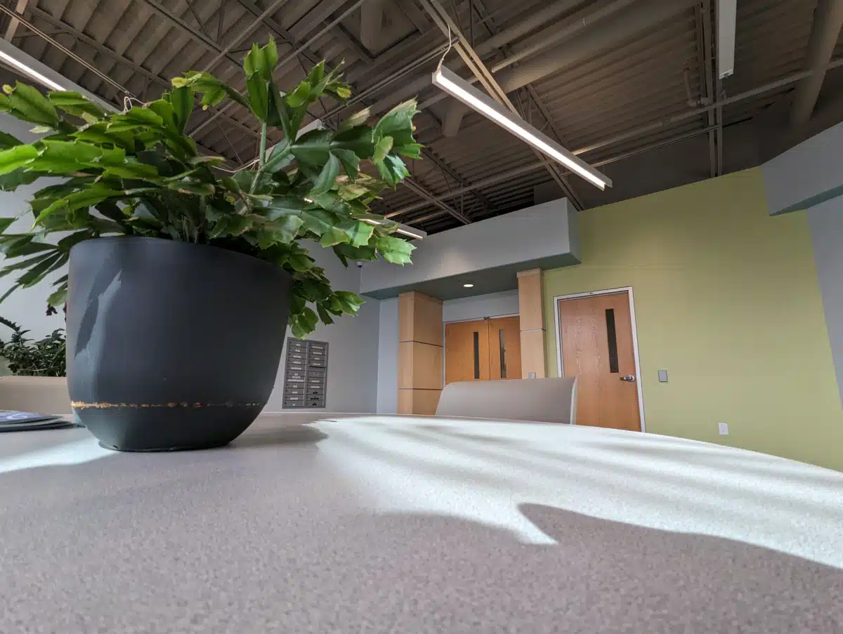 Lifeways - Thumbnail 6