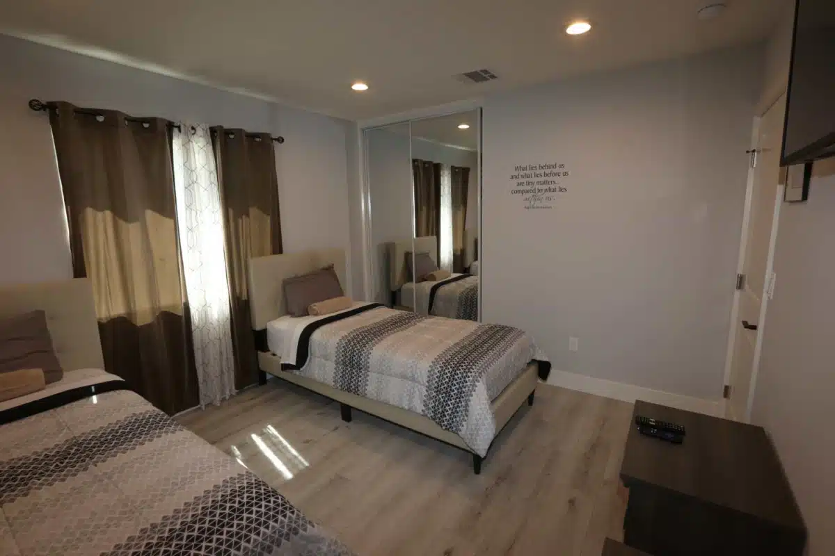 Lion Recovery - Thumbnail 10