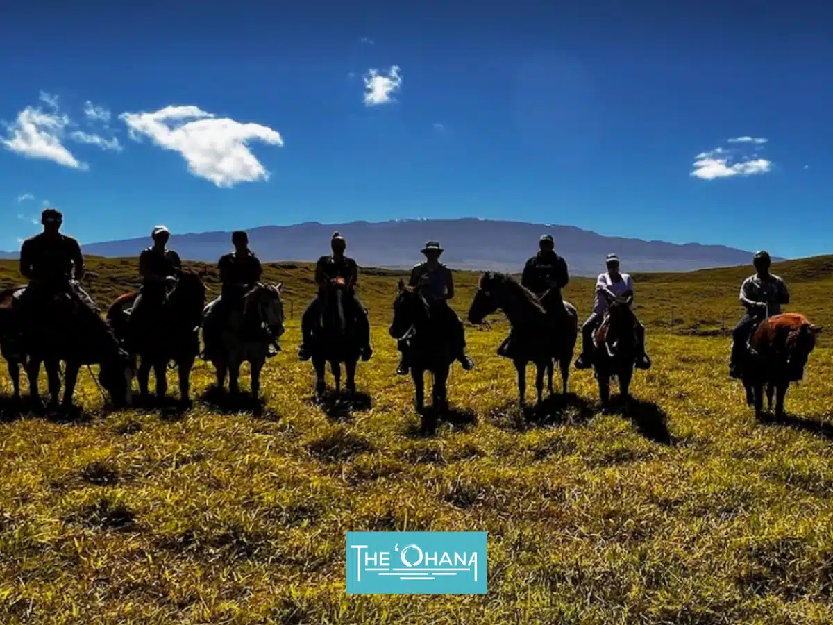 Lokahi Treatment Centers - Thumbnail 8