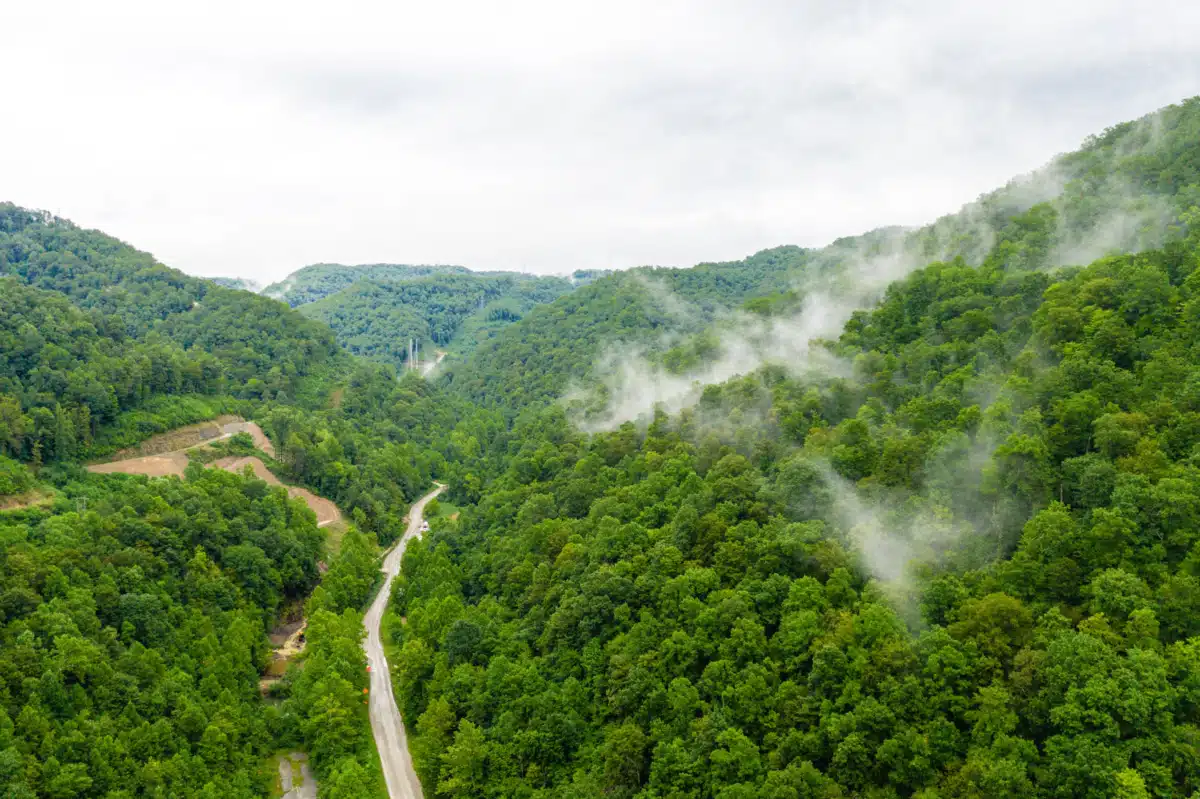 Lotus Recovery Centers - Thumbnail 6