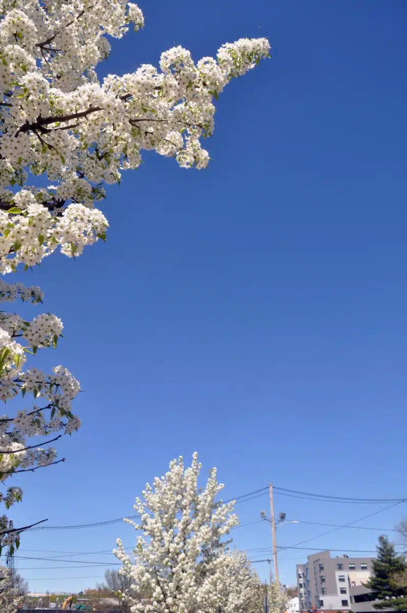 Maine Behavioral Healthcare - Thumbnail 6