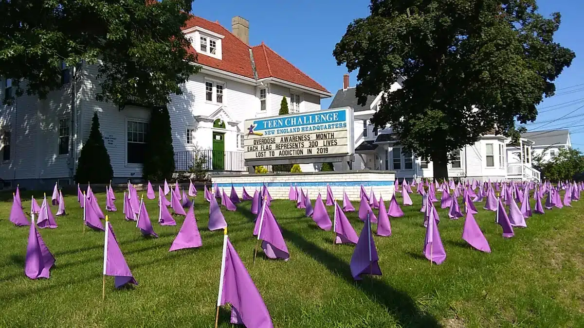 Massachusetts TC Clinical Group - Thumbnail 4