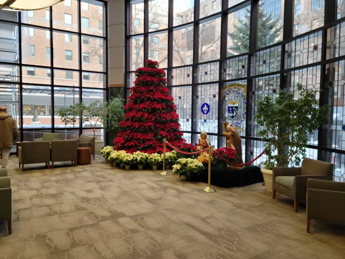 Mayo Clinic - Thumbnail 9