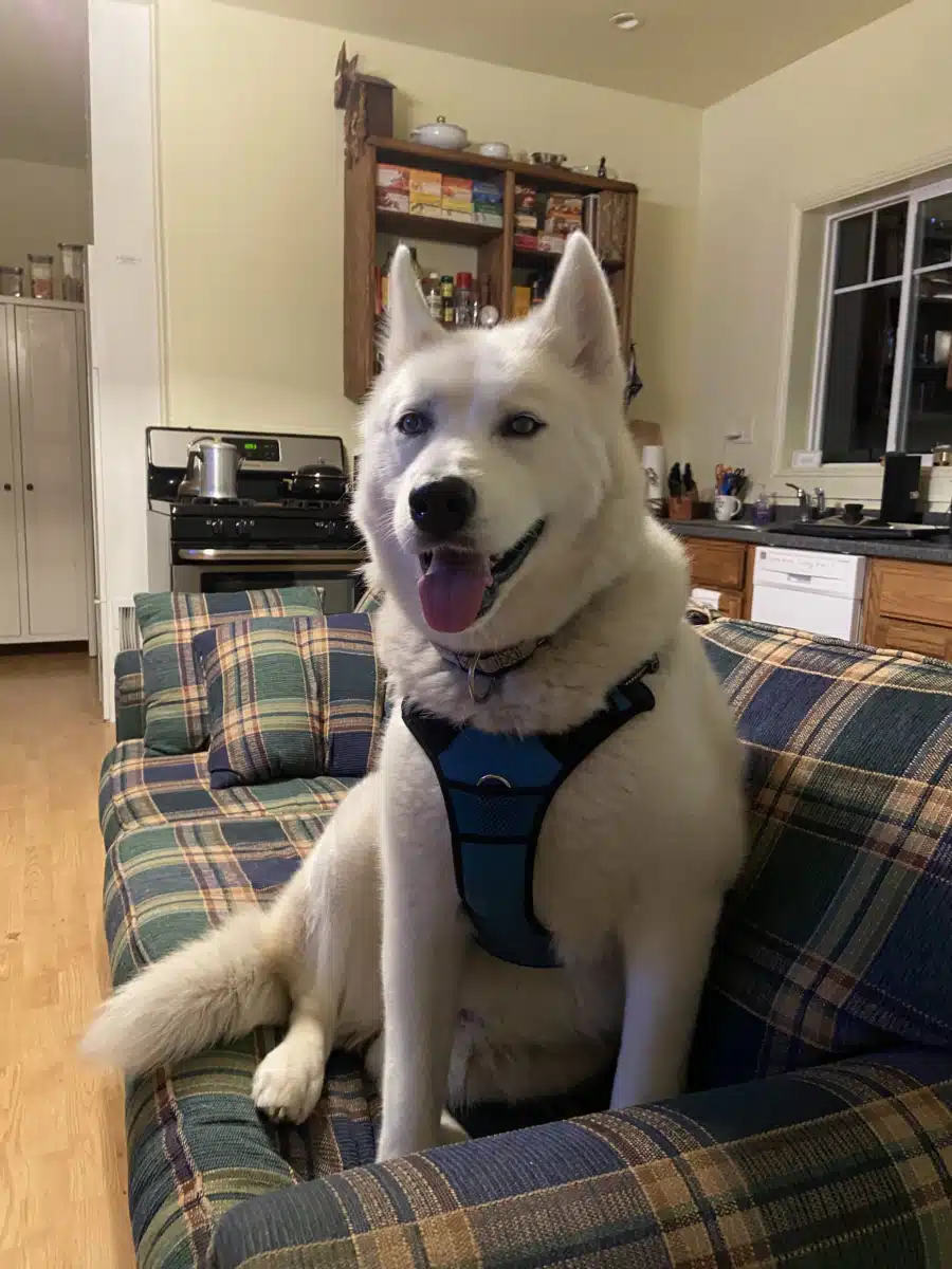 More to Life Recovery - Thumbnail 4