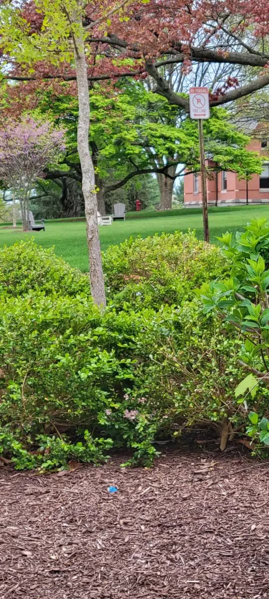 Mosaic Community Services - Thumbnail 3