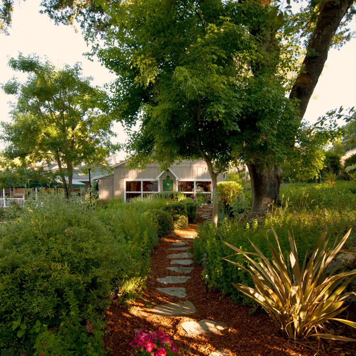 Mountain Vista Farm - Thumbnail 2