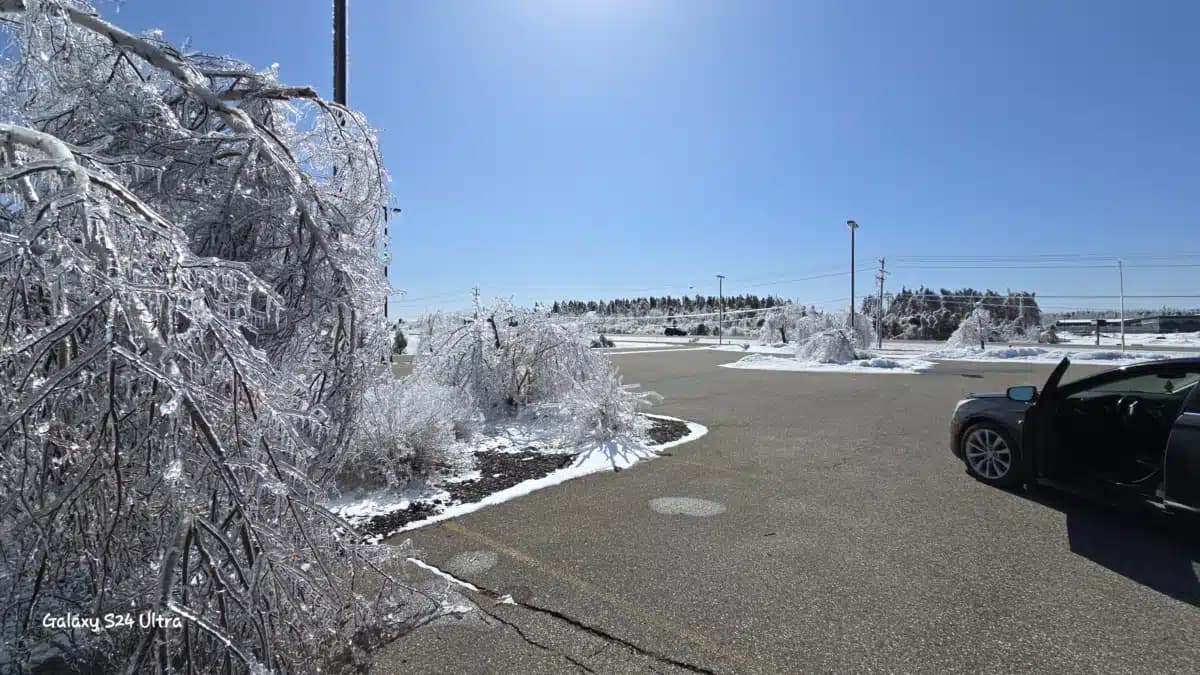 NMSAS Recovery Center