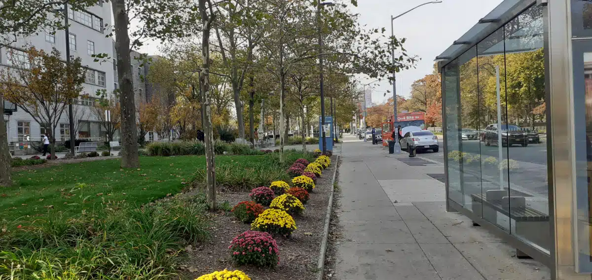 NYCHHC/Jacobi Medical Center - Thumbnail 8