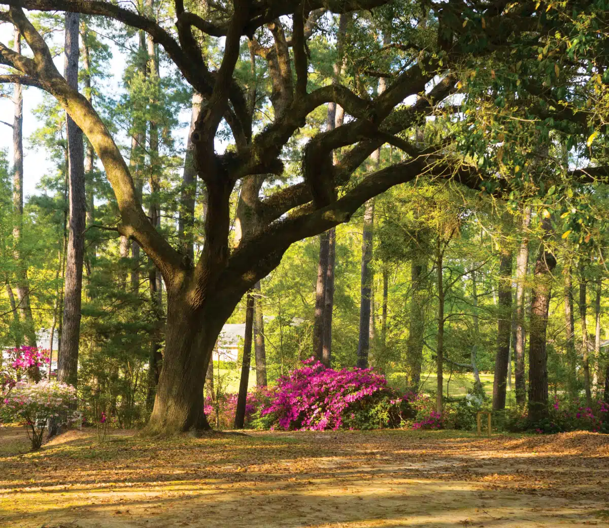 Narconon Louisiana - Thumbnail 10