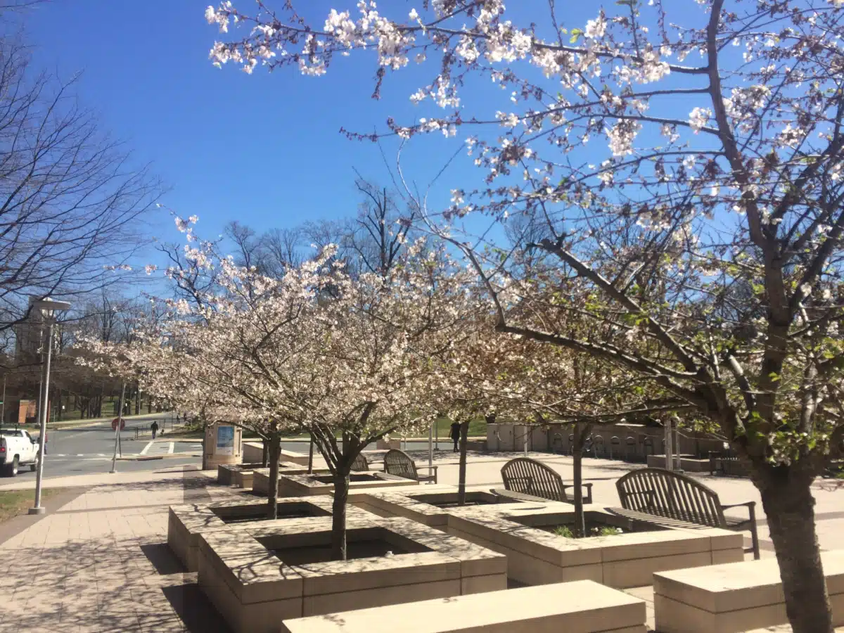 National Institutes of Health - Thumbnail 10