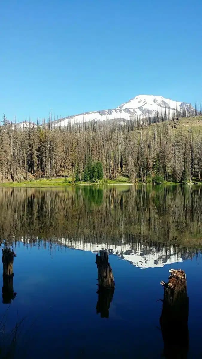 Native American Rehabilitation - Thumbnail 3