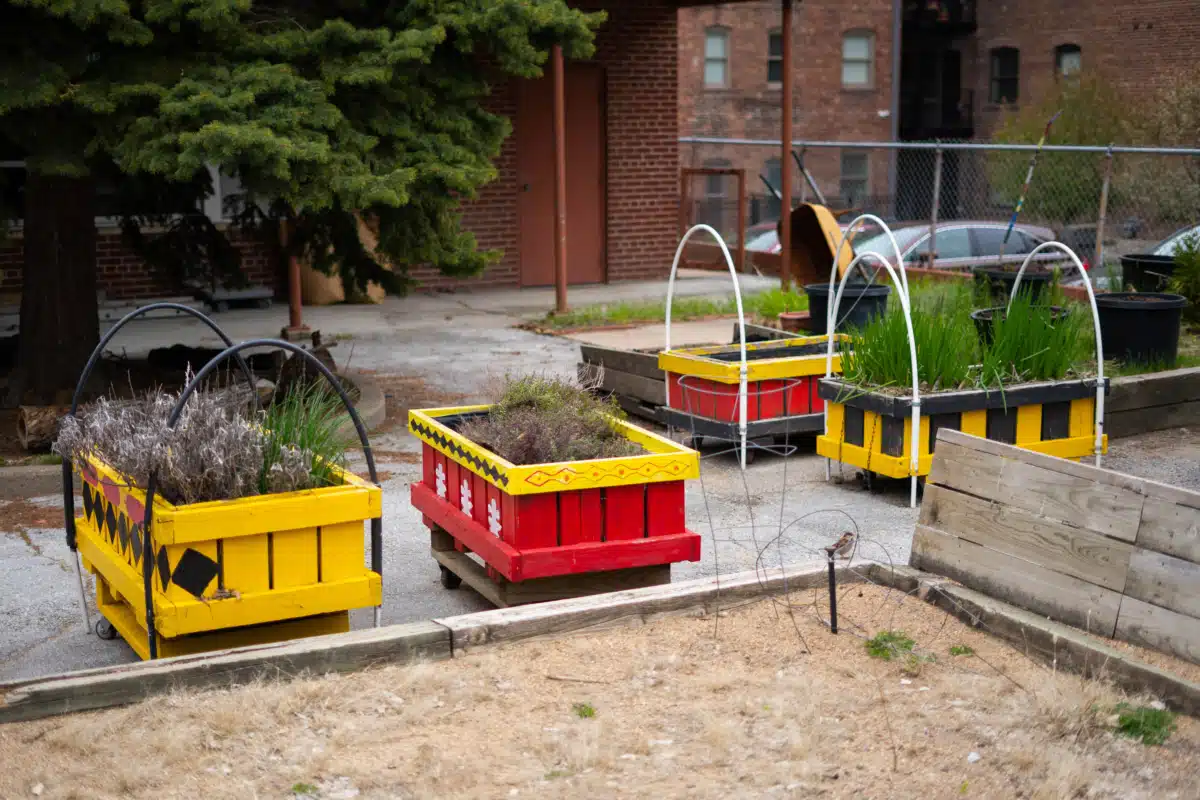 Nebraska Urban Indian Health Coalition - Thumbnail 3