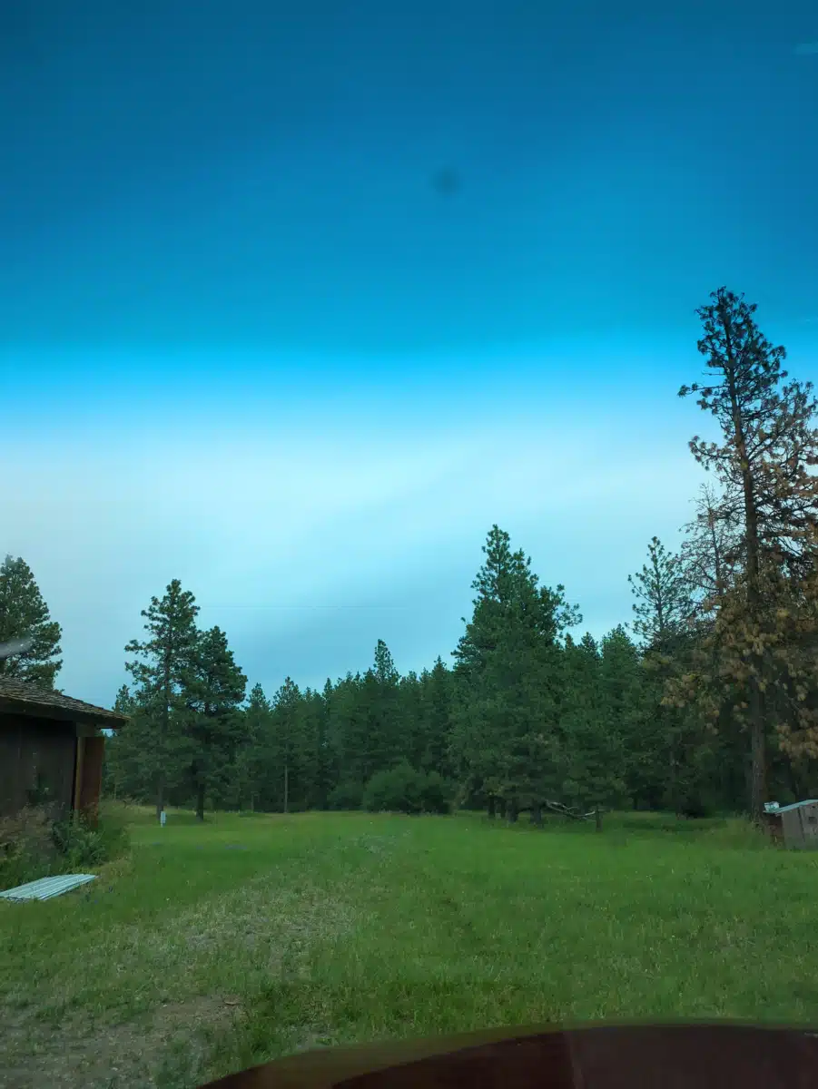 New Beginnings Counseling and