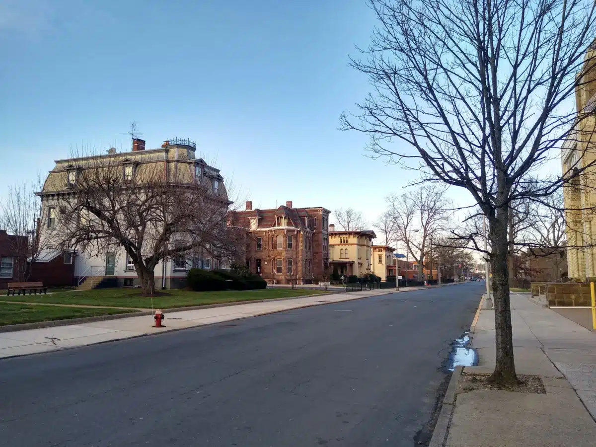 New Choices - Thumbnail 6