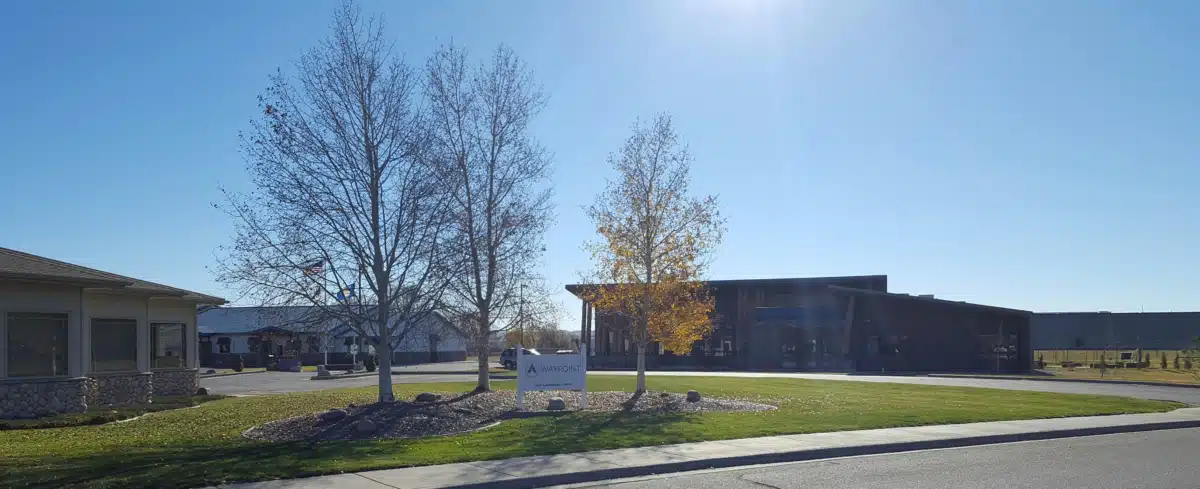 New Day Inc - Thumbnail 2