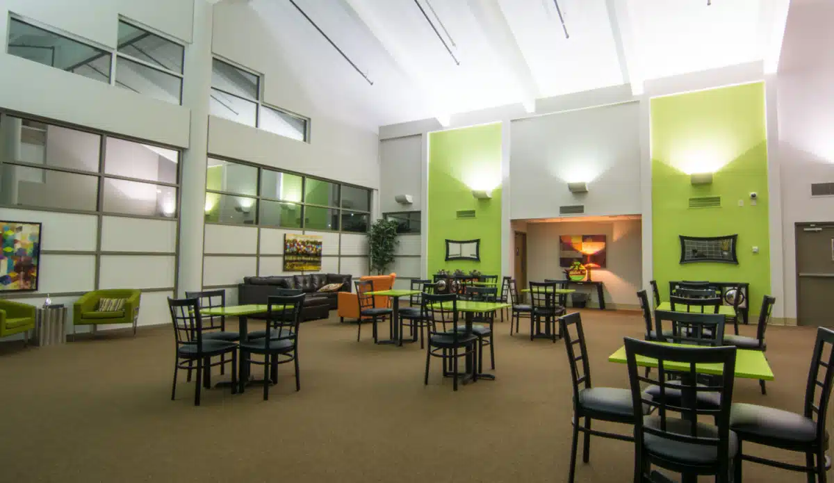 New Day Recovery - Thumbnail 3