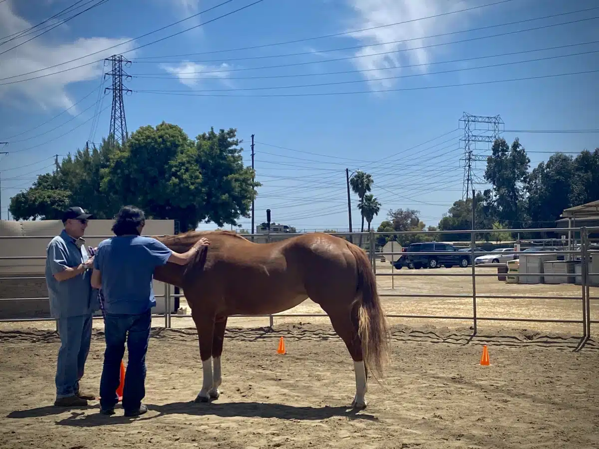 New Found Life - Thumbnail 3