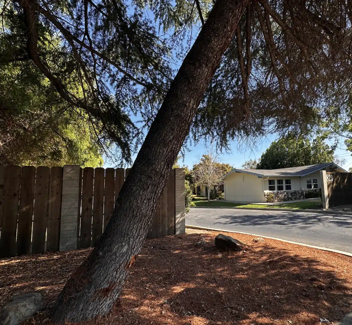 New Hope Recovery - Thumbnail 2