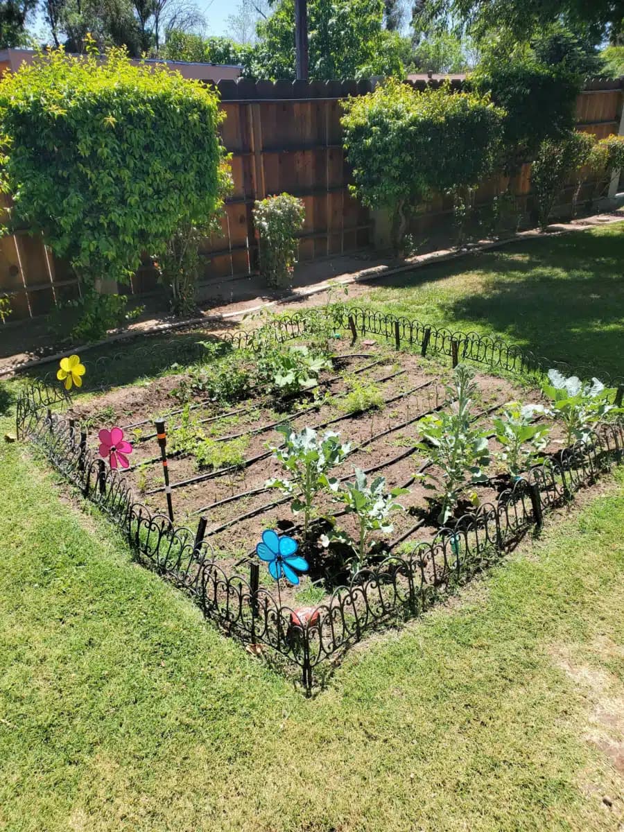 New Hope Recovery - Thumbnail 5