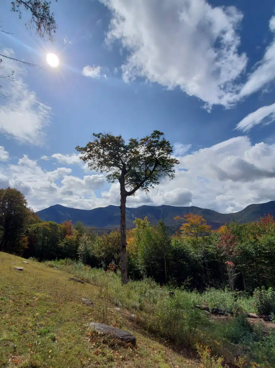 North Country Recovery Center - Thumbnail 10